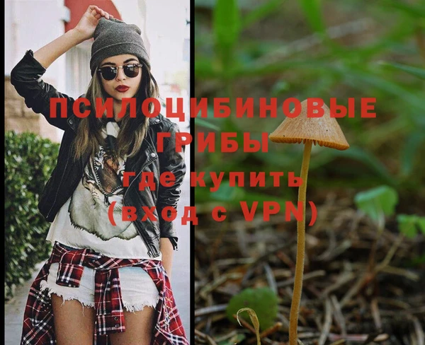 прущий лед Бородино
